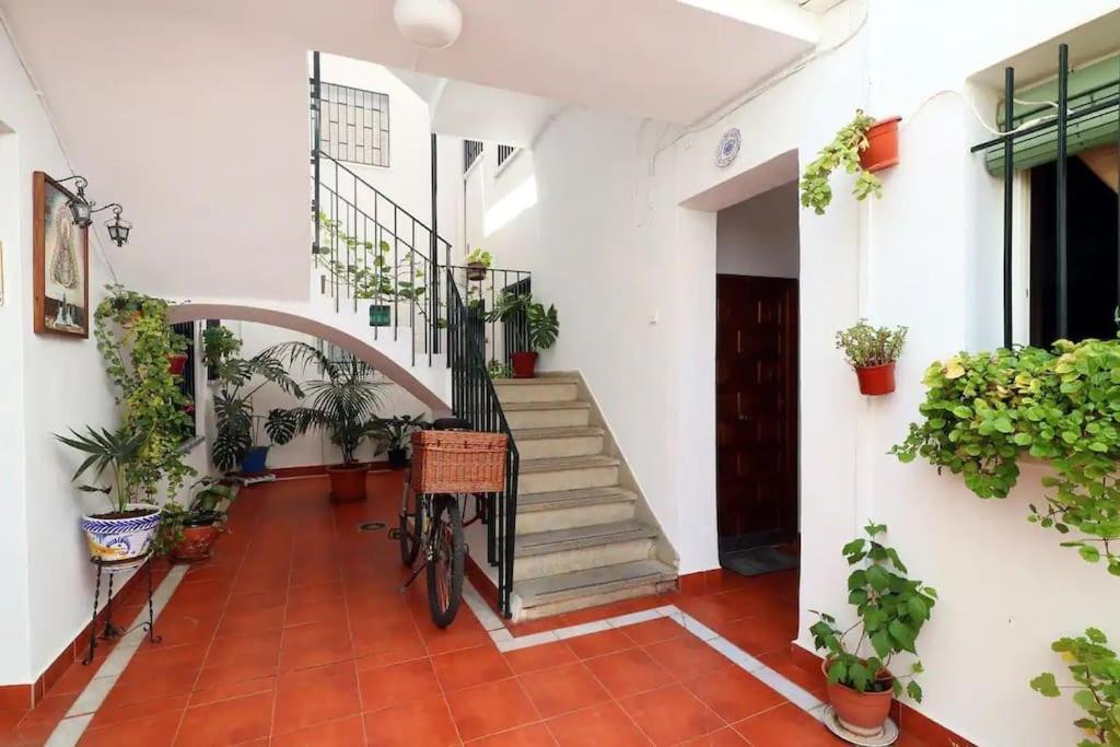 Kinahouse Apartment กอร์โดบา ภายนอก รูปภาพ